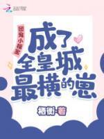 赵羲和景元帝