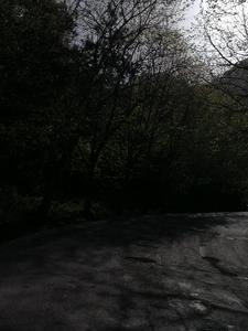 叶凌天