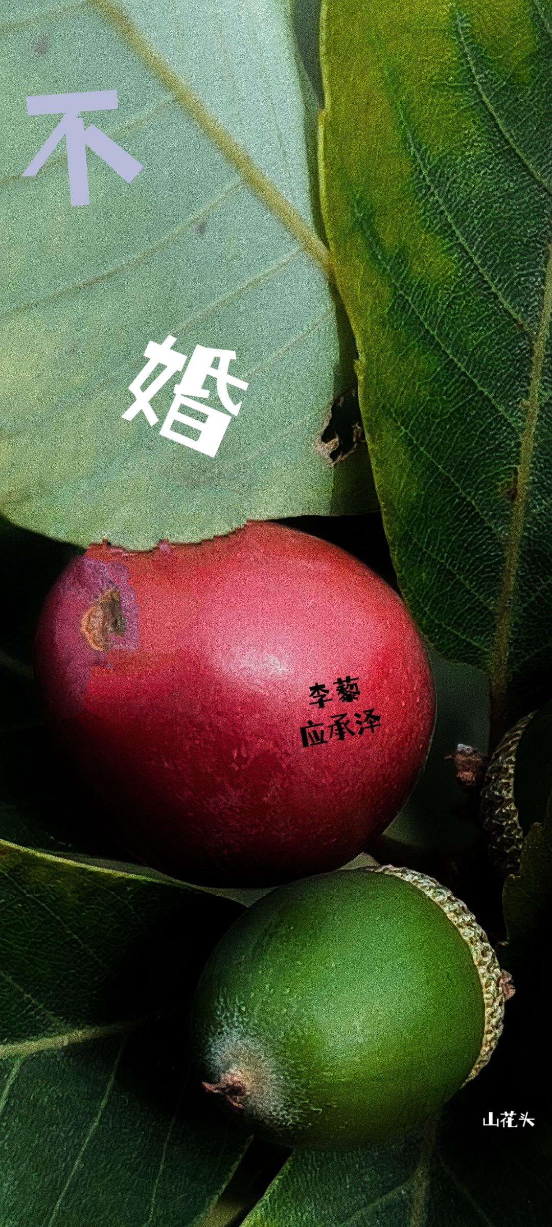 闪婚老公是千亿总裁