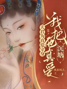 若春雨初霁txt