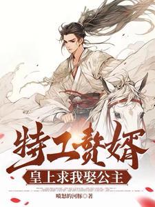 男主角叫贺清寒的