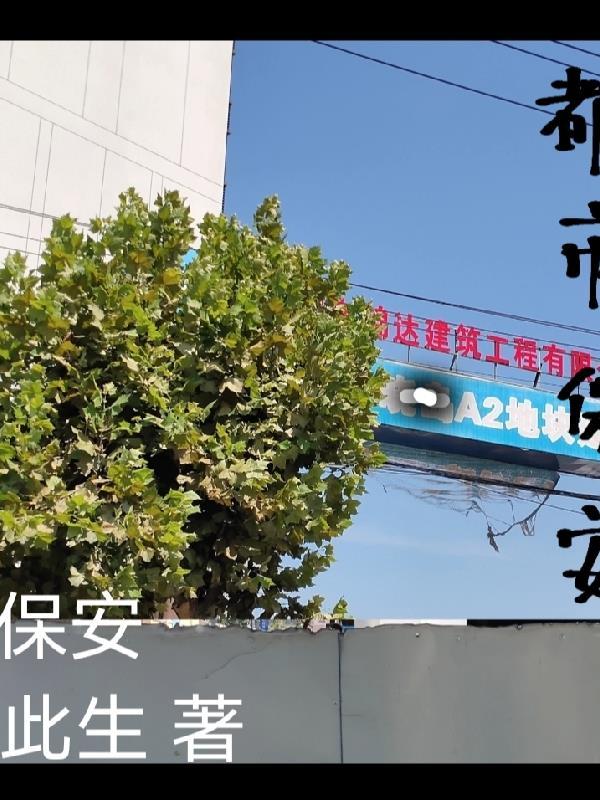 男主陆宴女主沈甄