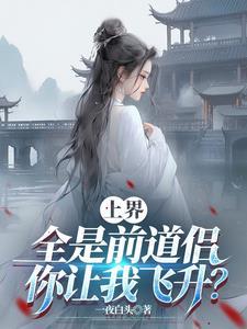 崽崽是哪本