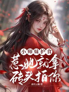 崽崽讲的什么