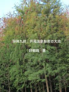巅峰官途一生