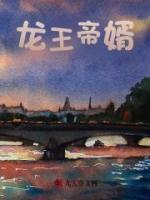 小陈夏姐