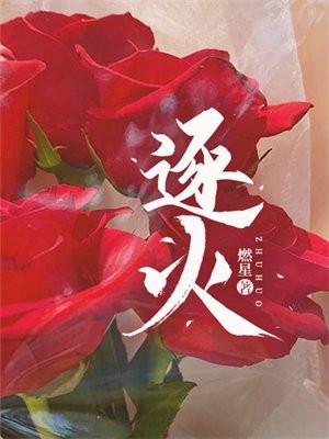 穿书后主角们为我打起来了晋江