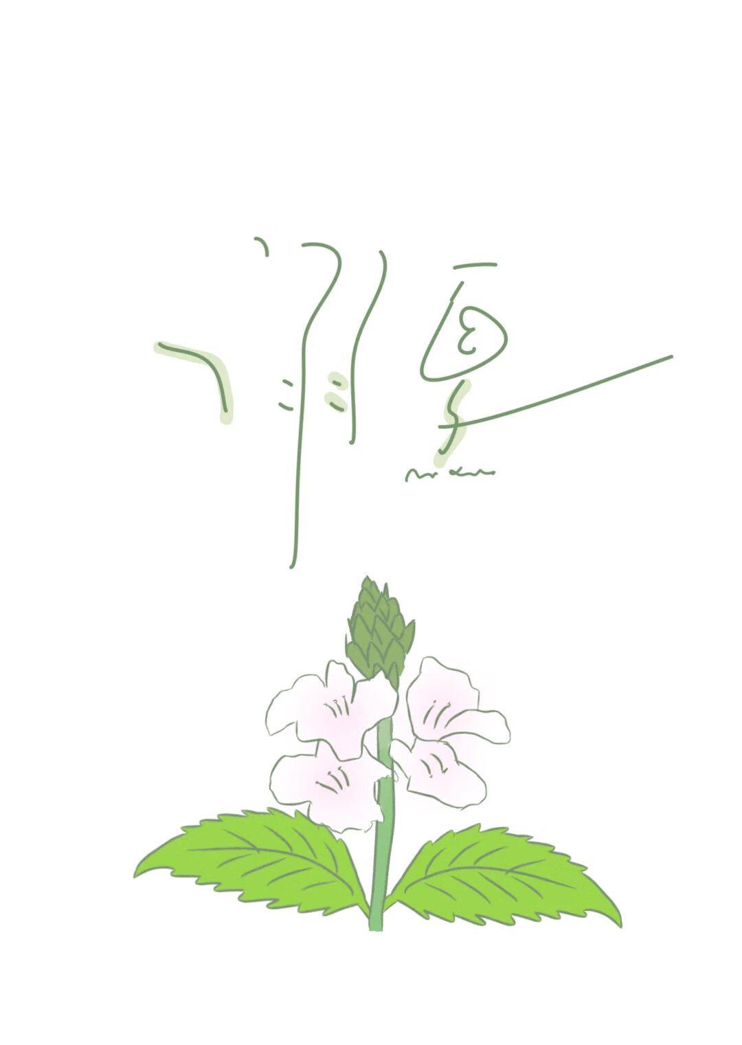 地久天长的近义词