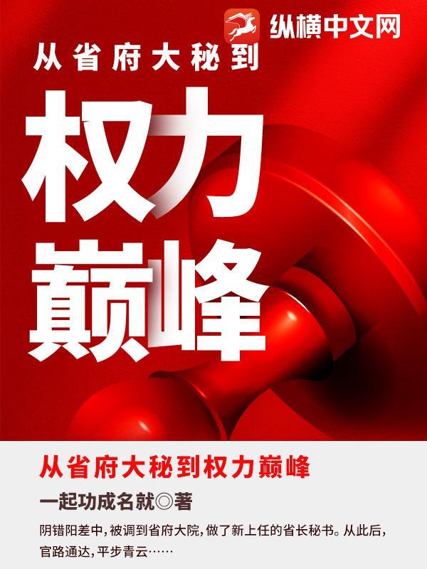 从省府大秘到权力巅峰
