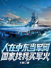 人在中东当军阀，国家找我买军火