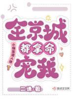 岁岁丰玄瑞