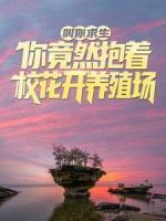 陆哲宁舒