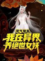 叶寒小白王如烟