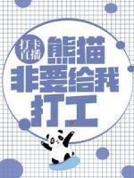 江枫苏清欢