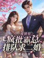 苏清欢封辞电视剧