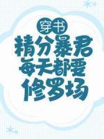 男主角叫陈铮