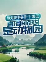 李一铭王小福
