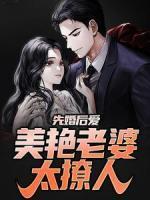 苏子文沈念一