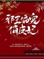 黄队长是什么电视剧