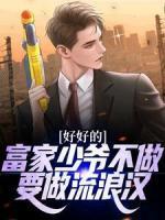 江辰江叶悠然
