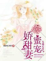 苏甜陆萧