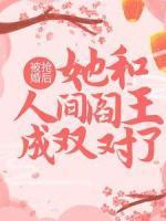 南昭雪封天极