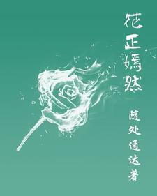 龙王婿