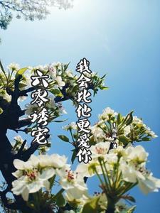 交易片段