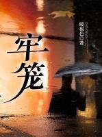 宋云舒沈言一大结局