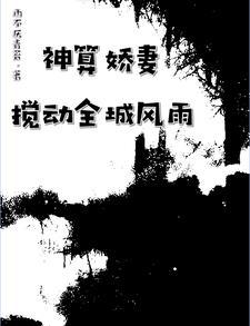 赵羲和景元帝什么关系