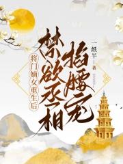 先锋电磁加热器